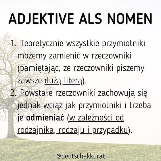 Adjektive als Nomen