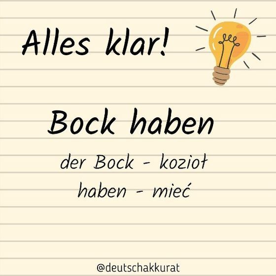 Bock haben