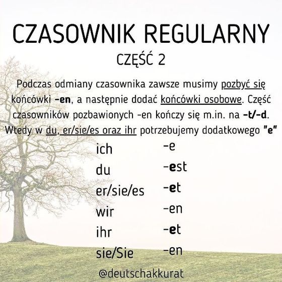 Czasownik regularny, cz. 2