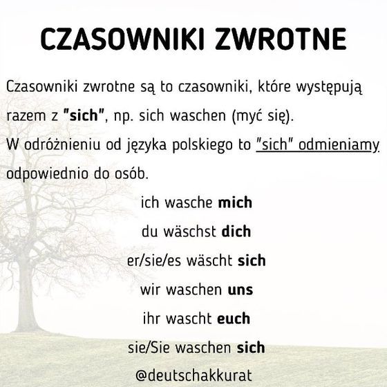 Czasowniki zwrotne
