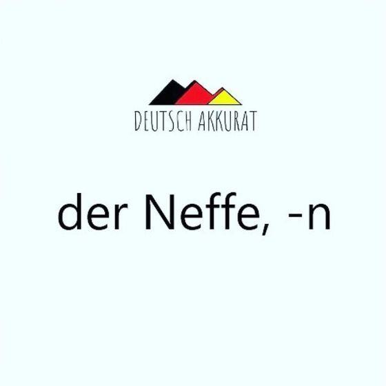 der Neffe, -n