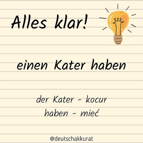einen Kater haben