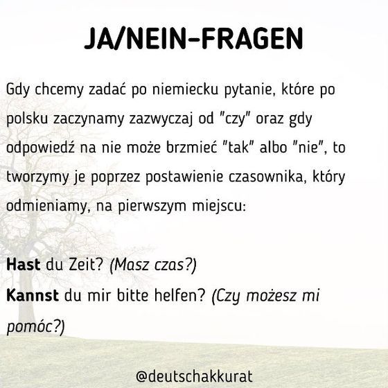 Ja/Nein-Fragen