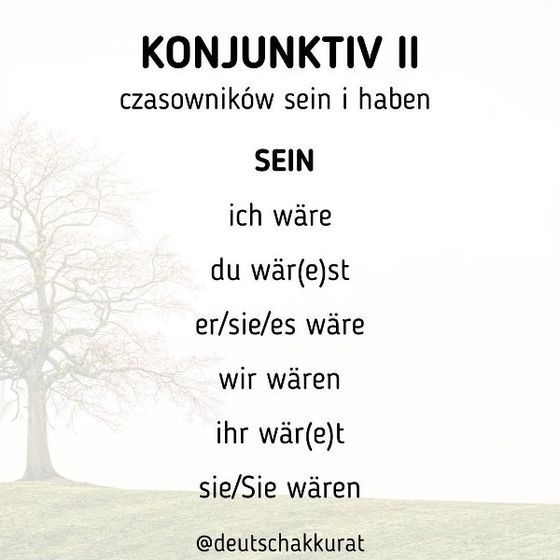 Konjunktiv II: sein i haben