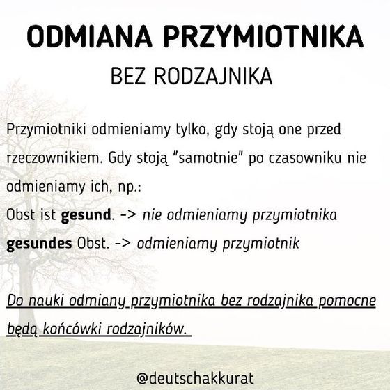 Odmiana przymiotnika bez rodzajnika