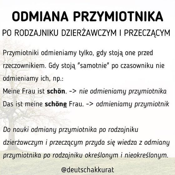 Odmiana przymiotnika po dzierżawczym