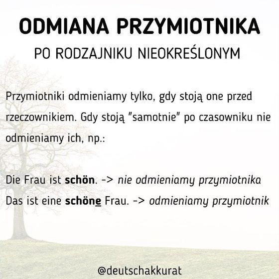 Odmiana przymiotnika po nieokreślonym