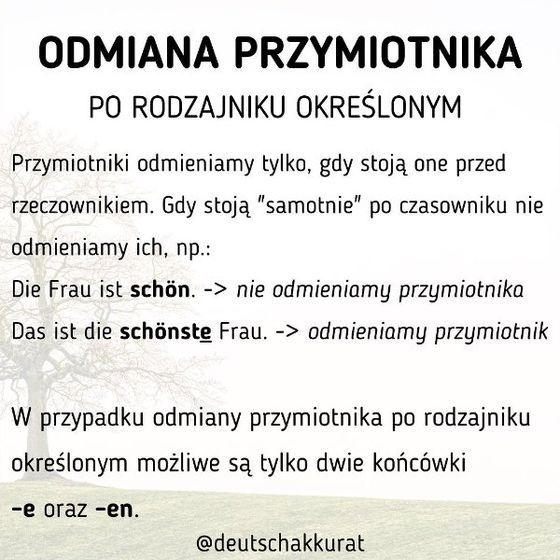 Odmiana przymiotnika po określonym