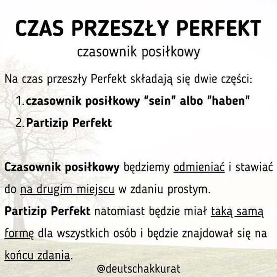 Perfekt: czasownik posiłkowy