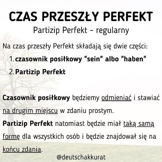 Perfekt: Partizip regularny
