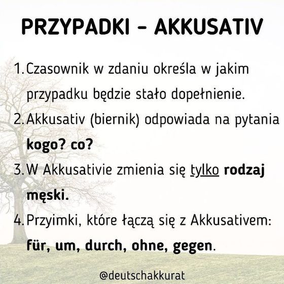 Przypadki: Akkusativ