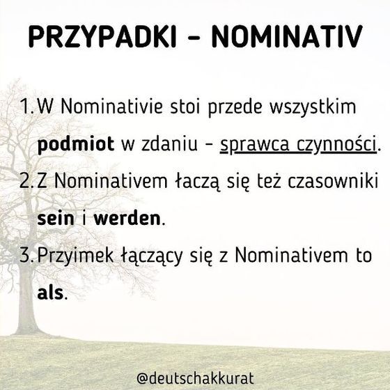 Przypadki: Nominativ