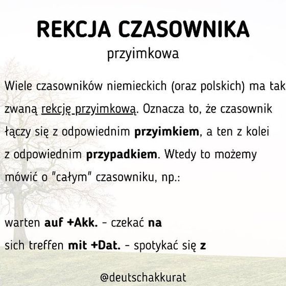 Rekcja czasownika