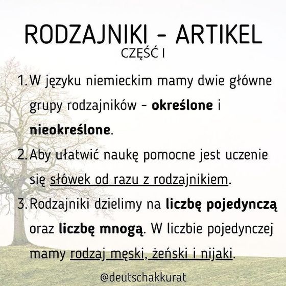 Rodzajniki, cz. I