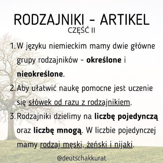 Rodzajniki, cz. II