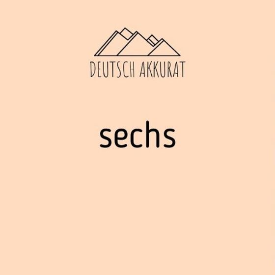 sechs