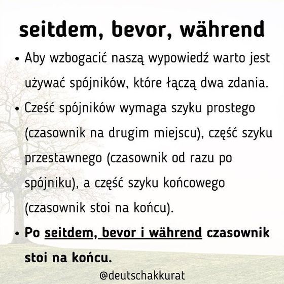 seitdem, bevor, während