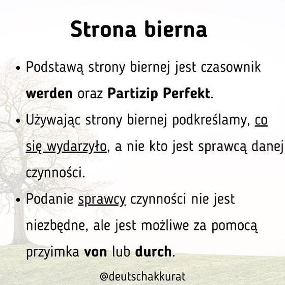Strona bierna: pierwsze kroki