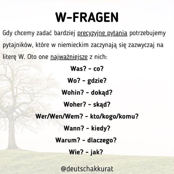 W-Fragen